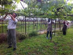 20120601-1.jpg