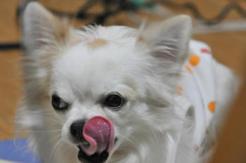 DSC_1575.JPG