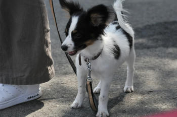 DSC_2626.JPG