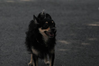 DSC_2709.JPG