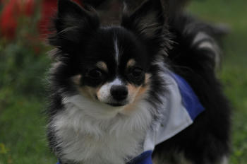 DSC_2759.JPG