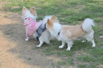 DSC_2747.JPG