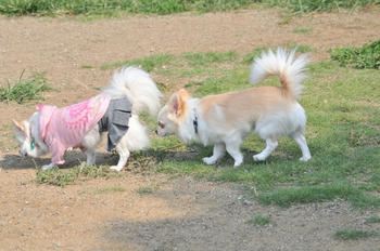 DSC_2749.JPG