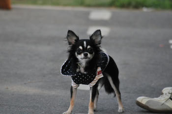 DSC_2825.JPG