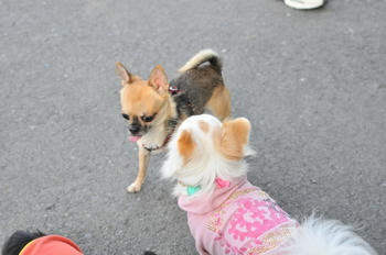 DSC_2862.JPG