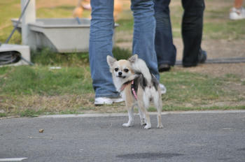 DSC_3685.JPG