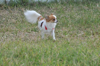 DSC_4415.JPG