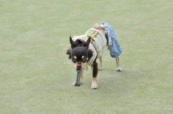 DSC_4717.JPG