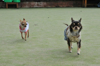 DSC_4693.JPG