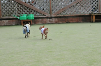 DSC_4690.JPG