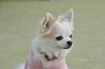 DSC_4699.JPG