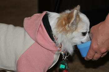 DSC_5087.JPG