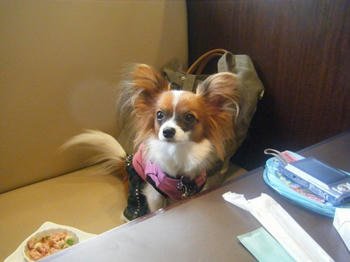 DSCF7534.jpg