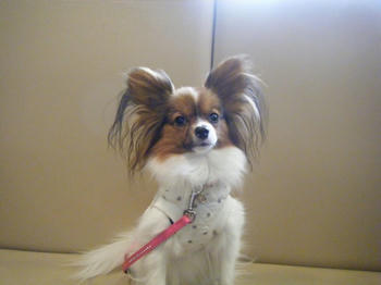 DSCF7539.jpg