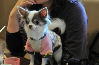 DSC_8781.jpg