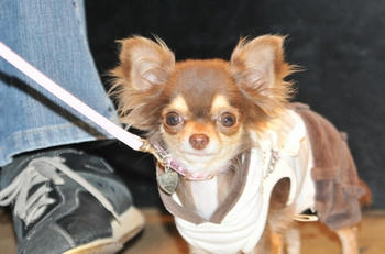 DSC_9412.jpg