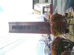 CA320244.jpg