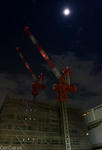 crane-1.jpg