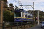 IMGP2421.jpg