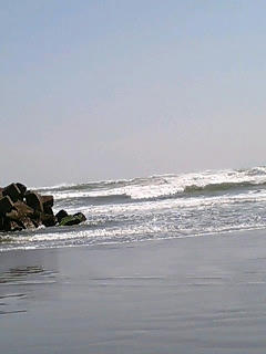 060403_1235~0001.jpg