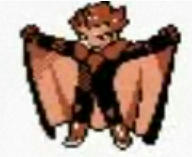 w.jpg