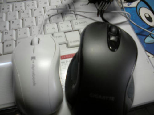 DSCN0045.JPG