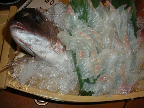 DSCN0721.JPG