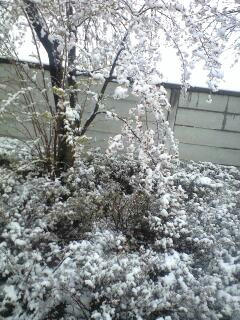 100422_1222~0001.jpg