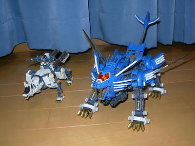rz028b.JPG