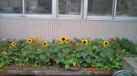 20100907143259.jpg
