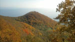 20101024124725.jpg
