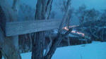 20110101161514.jpg