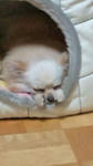 20110409214123.jpg