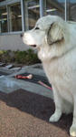 20110413105355.jpg