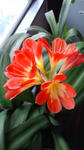 20110425111038.jpg