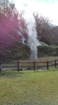 20110429143451.jpg