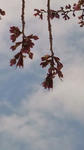 20110519110249.jpg
