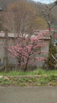 20110519110518.jpg