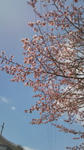 20110523115037.jpg