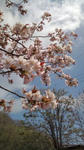 20110523115253.jpg