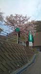 20110526101950.jpg