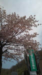 20110526102010.jpg