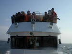CIMG5517.jpg