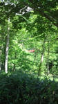 20110705095347.jpg