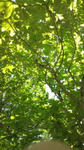 20110705095917.jpg