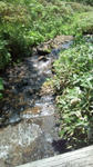 20110705102159.jpg