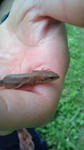 20110718163919.jpg