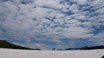 s-DSC_0170.jpg