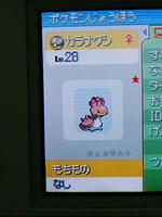 微妙な色の差…？