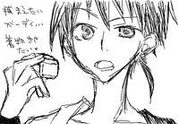 捕まえたらこんな感じにしたい